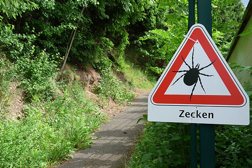 Zecken - © Dieter Schütz, Pixelio